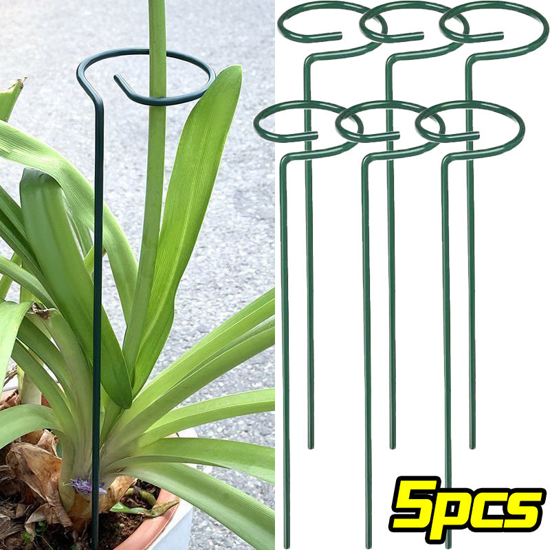 Plant Support Stake - 1/10pcs Tuin Ondersteuning Stake Ring Metalen