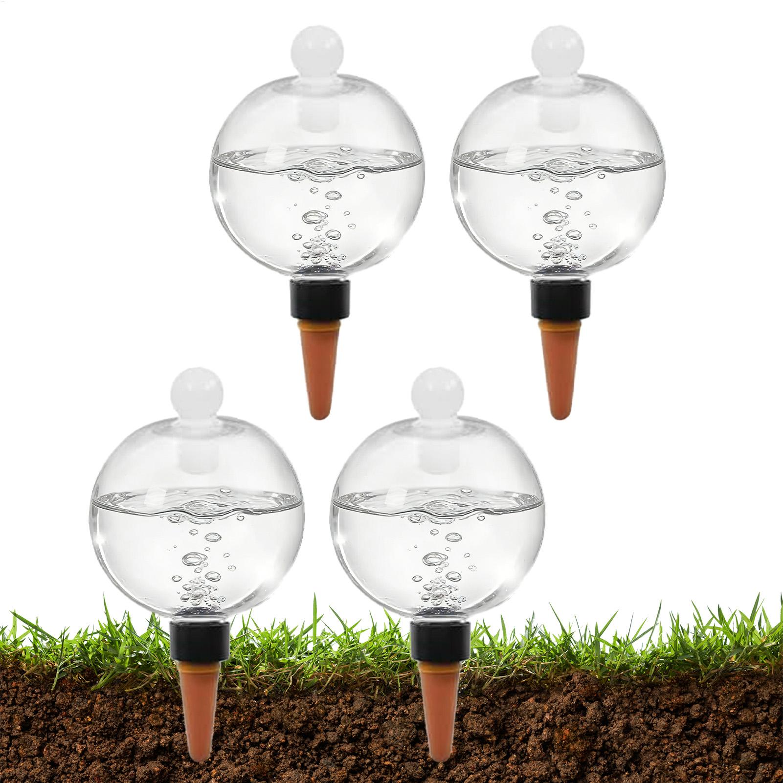 Succulent Set - Plantenbewateringsbollen 4 stuks 500ml Transparante Automatische