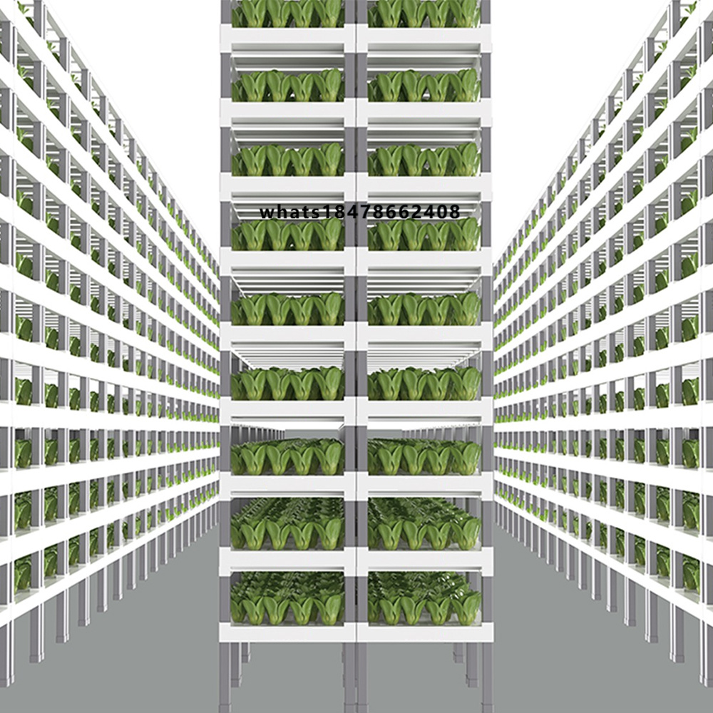 Indoor Plants - App-gestuurd slim hydroponisch systeem voor binnenlandbouw,