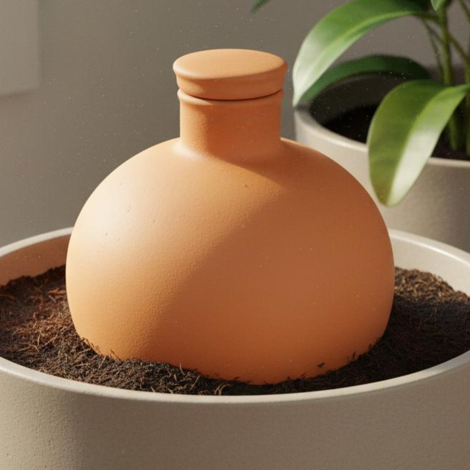 Terracotta Pot - 2 Stuks Terracotta Olla Gemakkelijke Plantverzorging