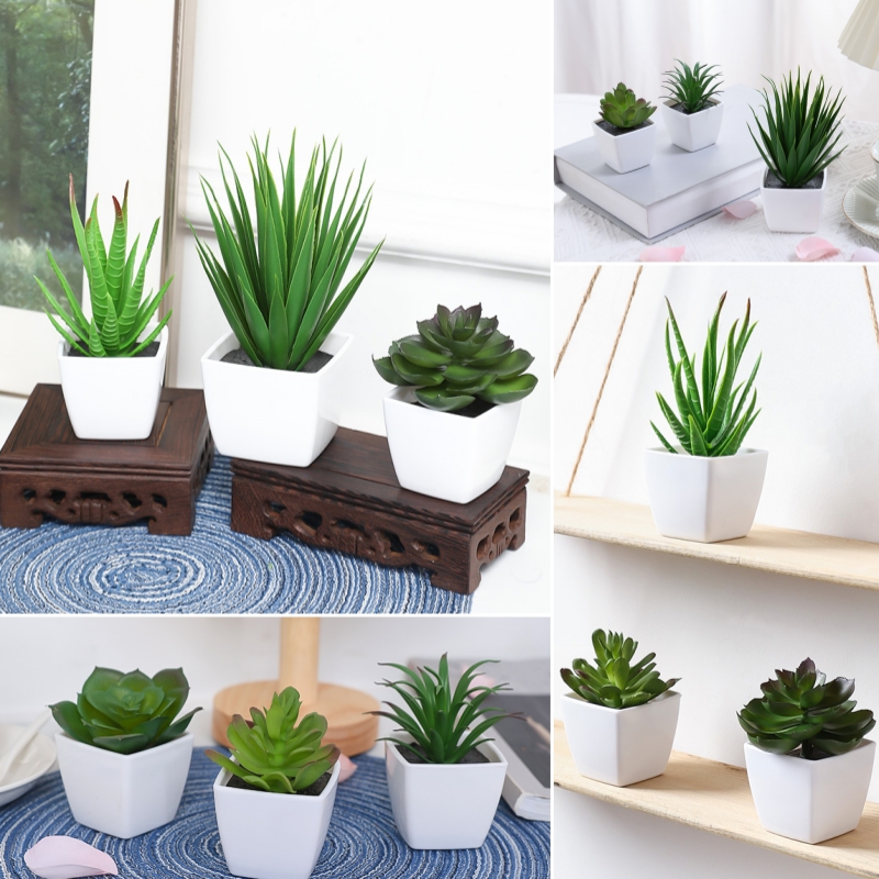 Succulent Set - (Een set van 3 stuks) Gesimuleerde