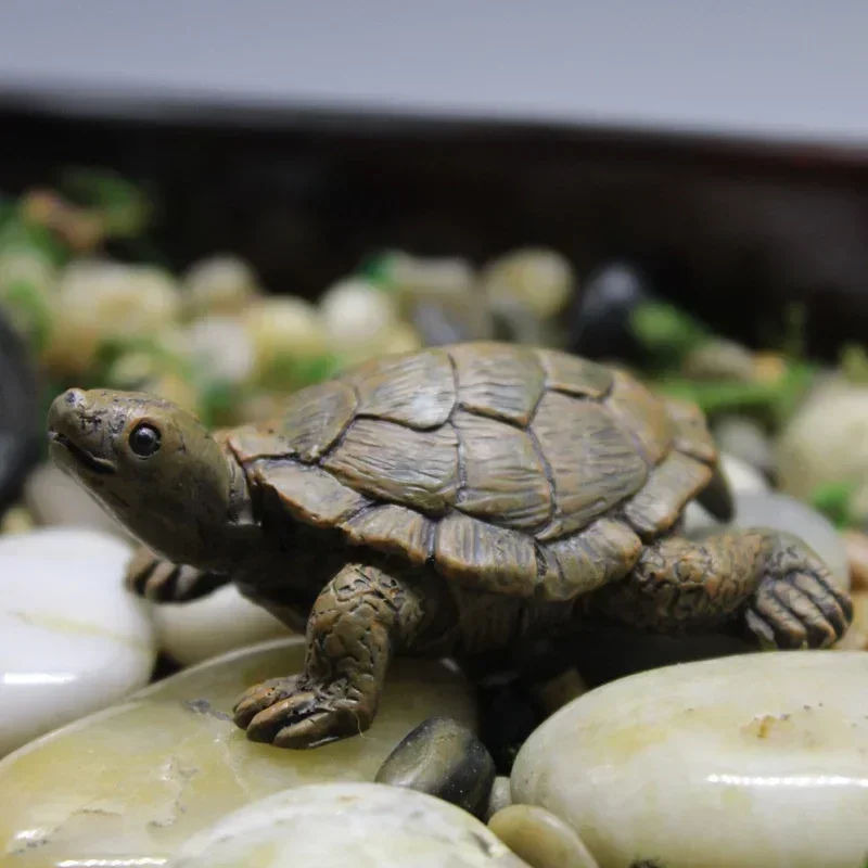 Hars Simulatie Kleine Schildpa - Succulent Set recensie en prijs