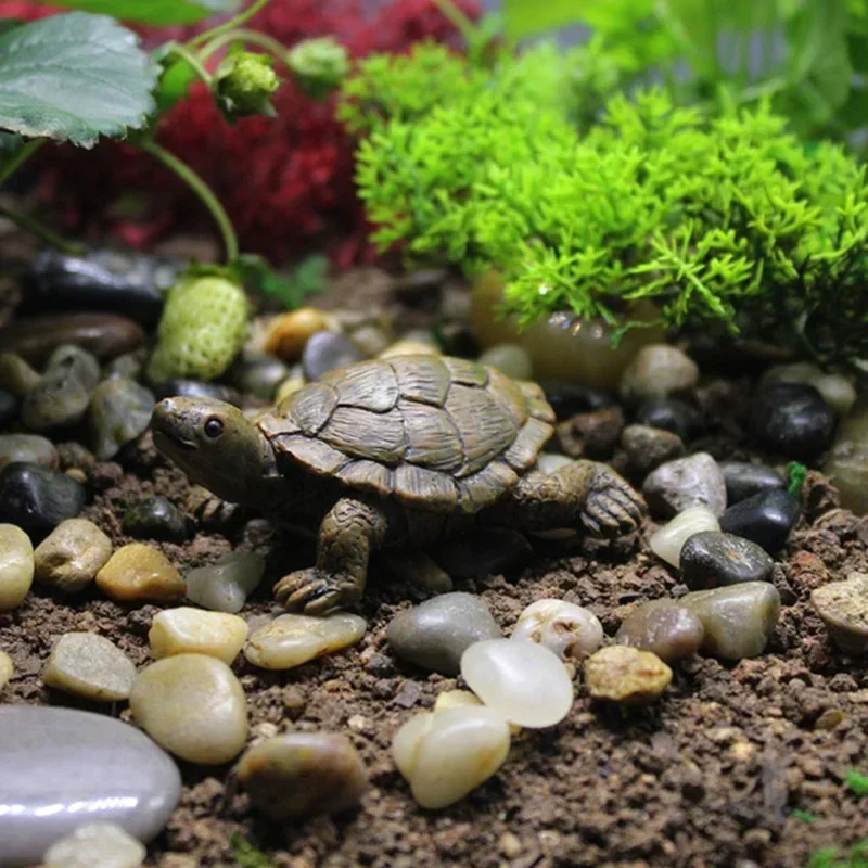 Hars Simulatie Kleine Schildpa - Succulent Set recensie en prijs