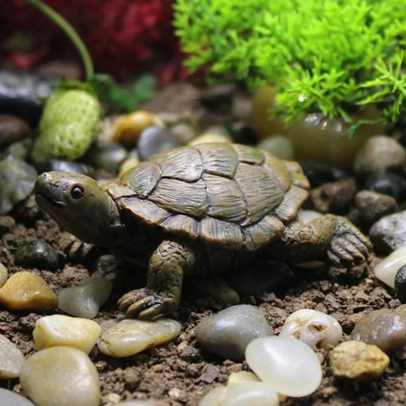 Hars Simulatie Kleine Schildpa - Succulent Set recensie en prijs