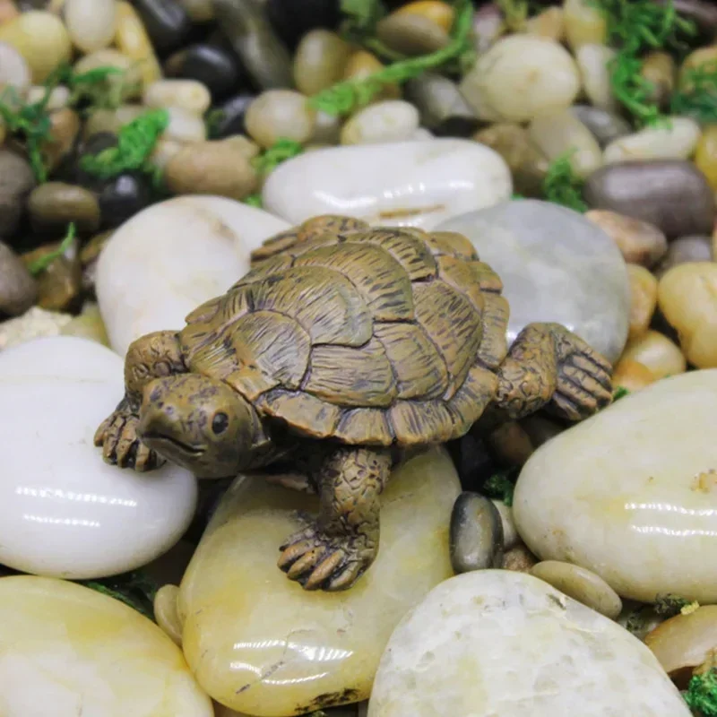 Hars Simulatie Kleine Schildpa - Succulent Set recensie en prijs