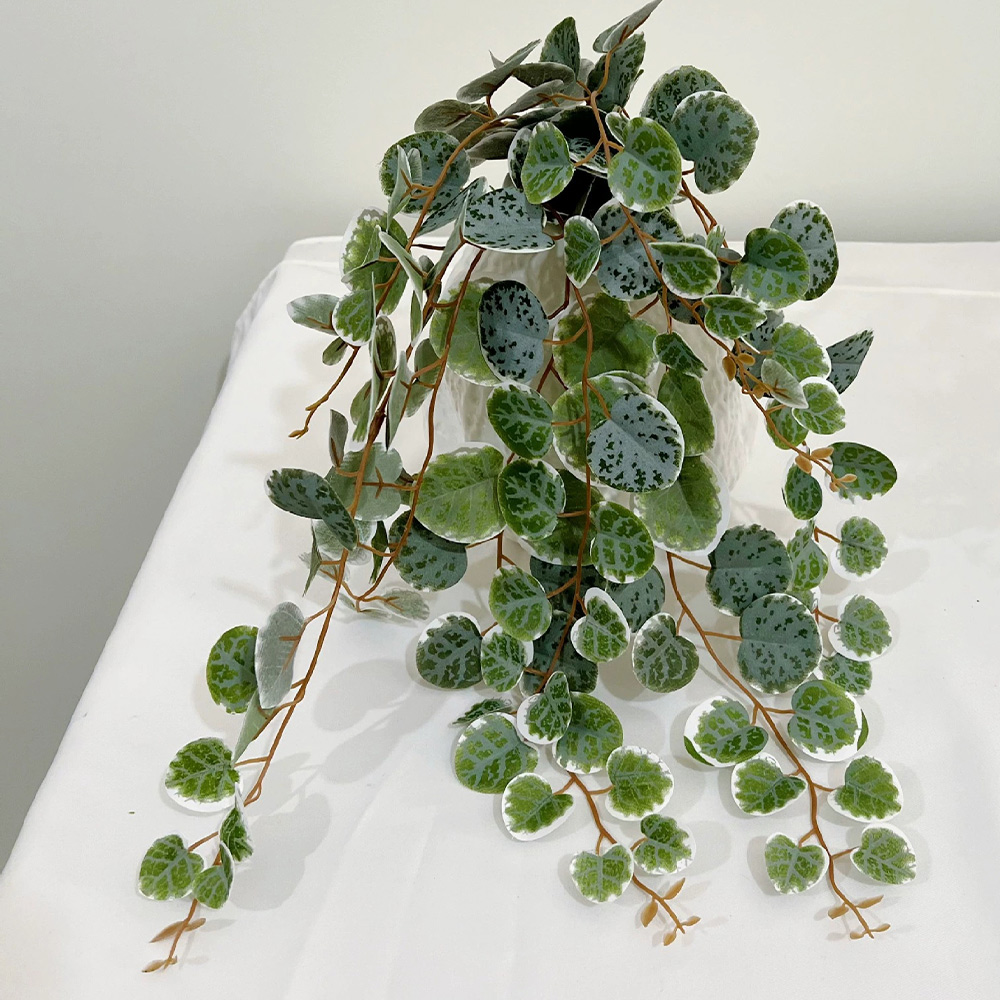 49cm Kunstplanten Wijnstokken  - Snake Plant recensie en prijs