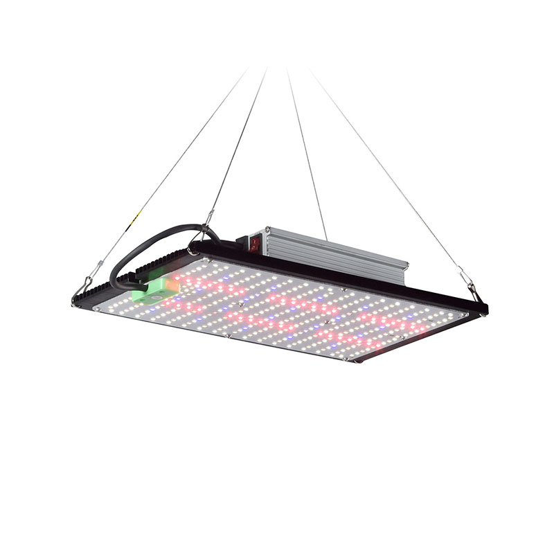 LED Quantum-Board Kweeklamp Vo - Indoor Plants recensie en prijs