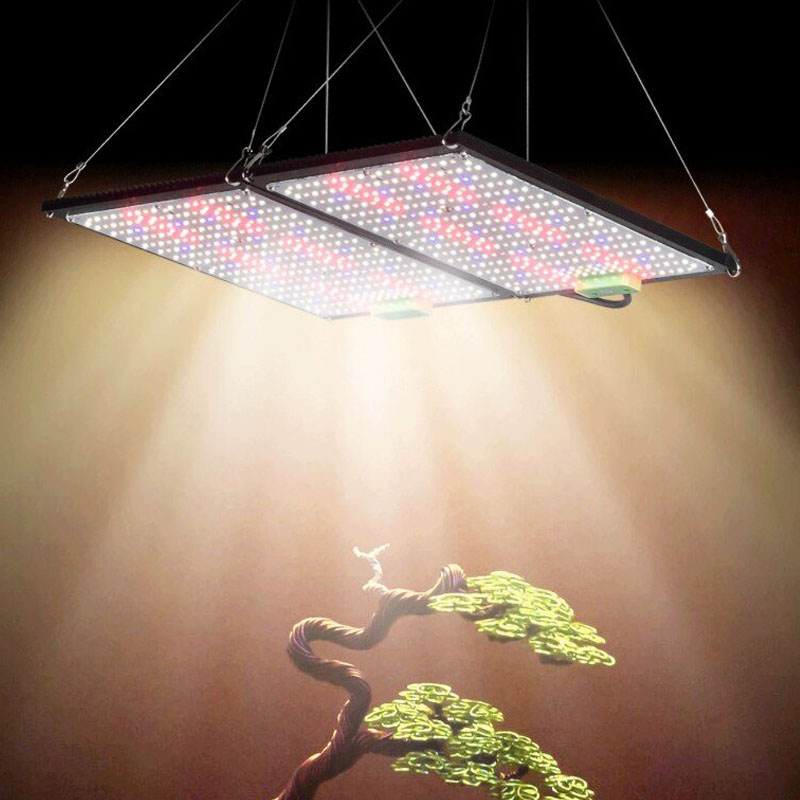 LED Quantum-Board Kweeklamp Vo - Indoor Plants recensie en prijs