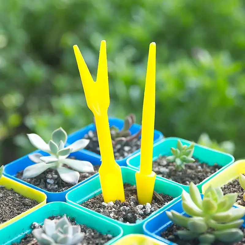 1/10 Stuks Zaaien Vetplanten T - Succulent Set recensie en prijs