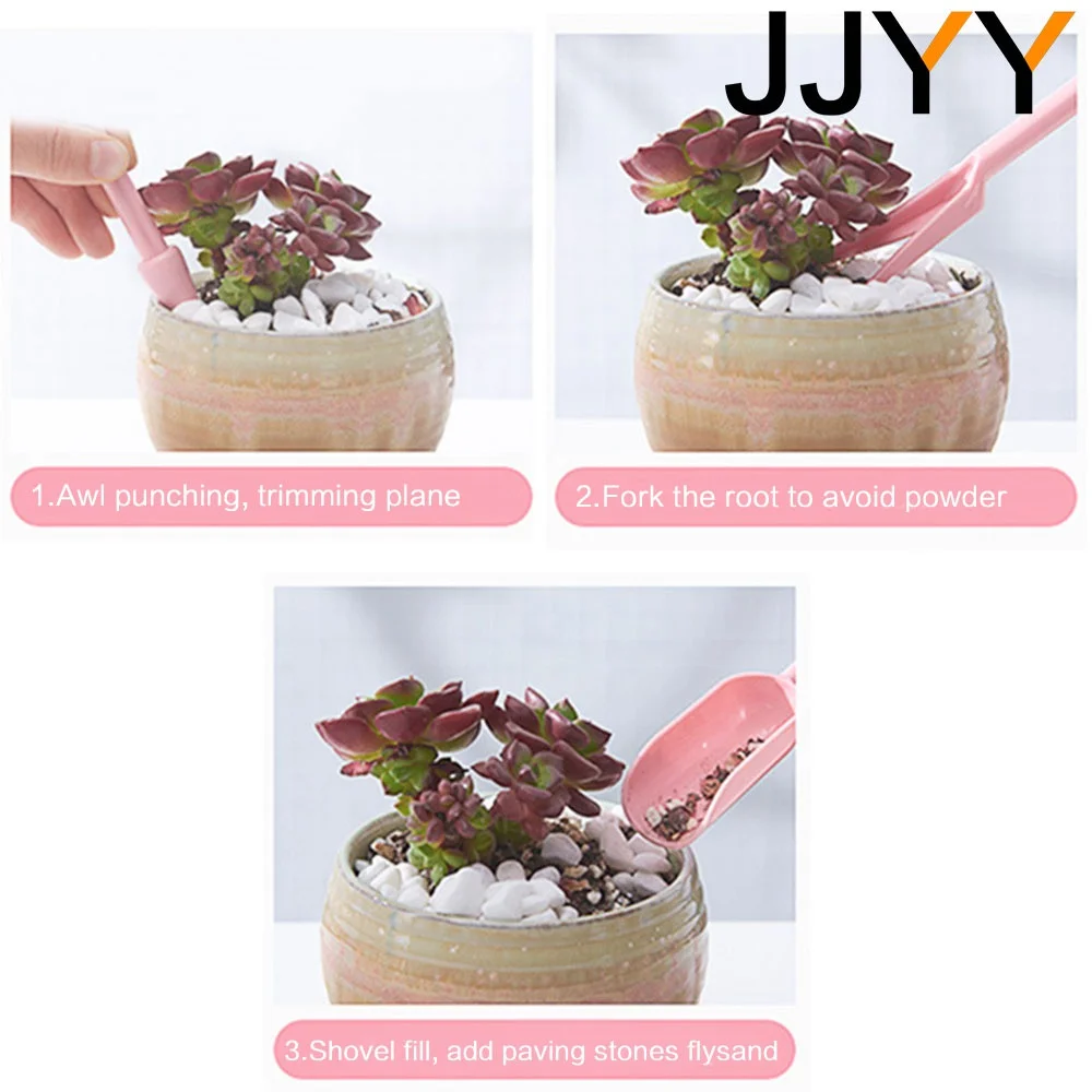4-delige mini succulenten plan - Succulent Set recensie en prijs