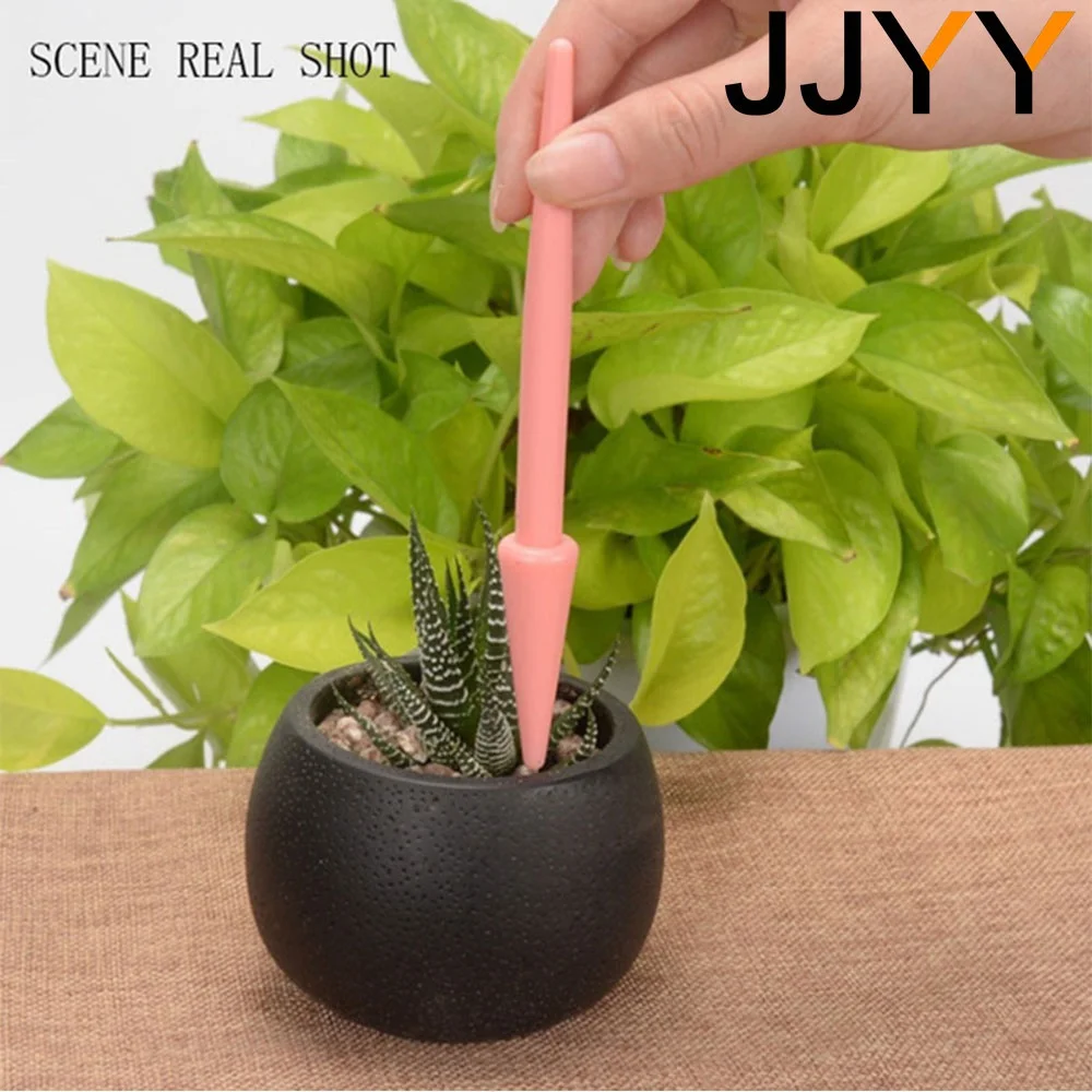 4-delige mini succulenten plan - Succulent Set recensie en prijs