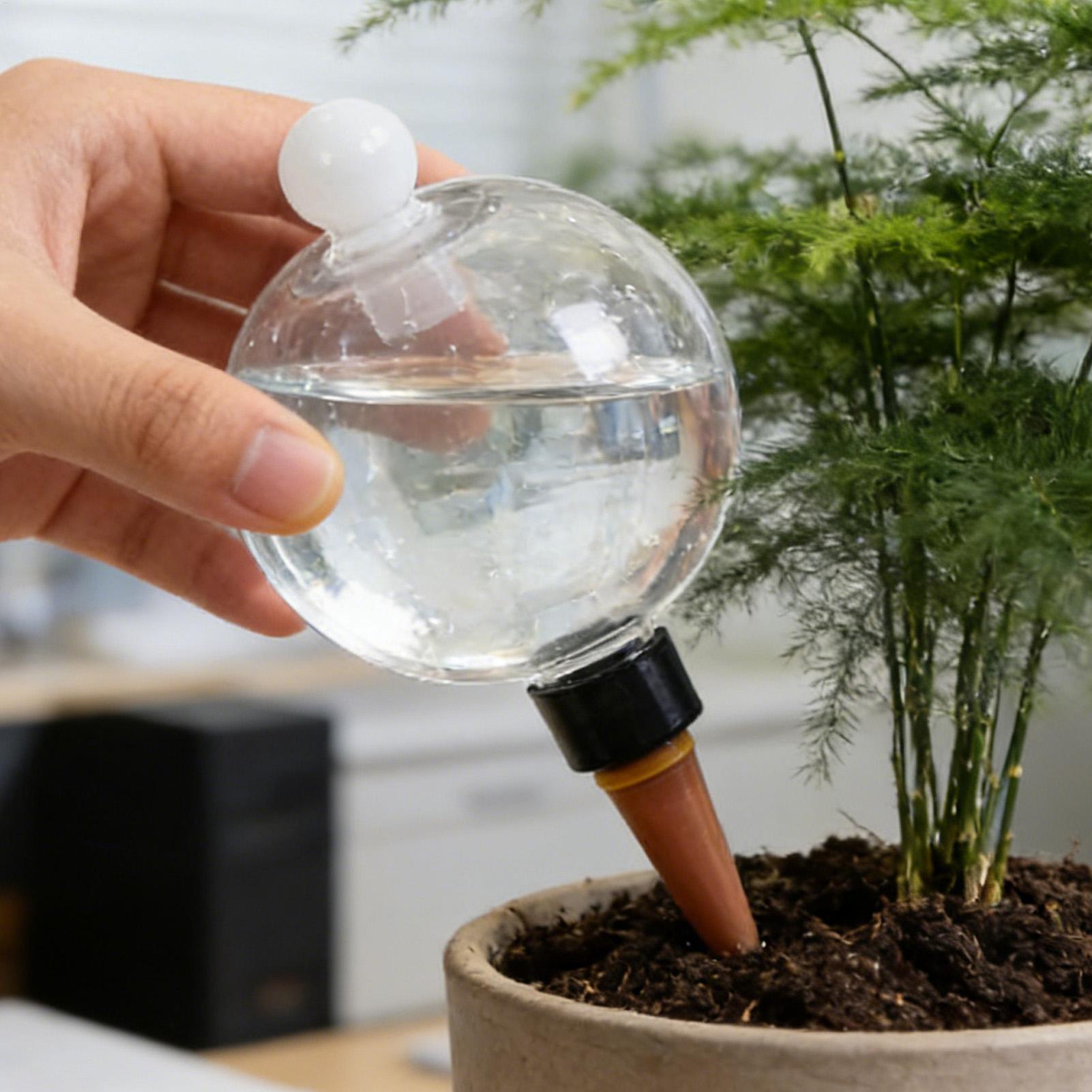 Plantenbewateringsbollen 4 stu - Succulent Set recensie en prijs