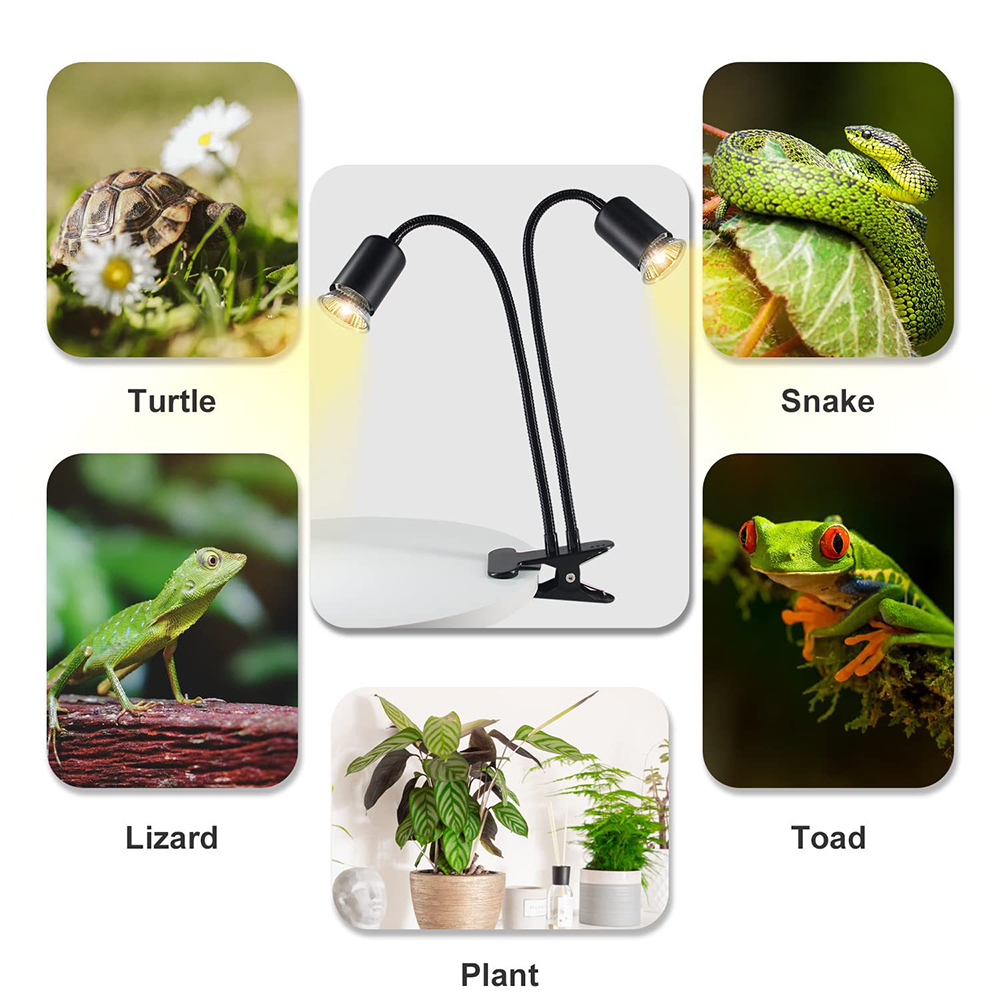 Reptiel Warmtelamp Roterende D - Snake Plant recensie en prijs