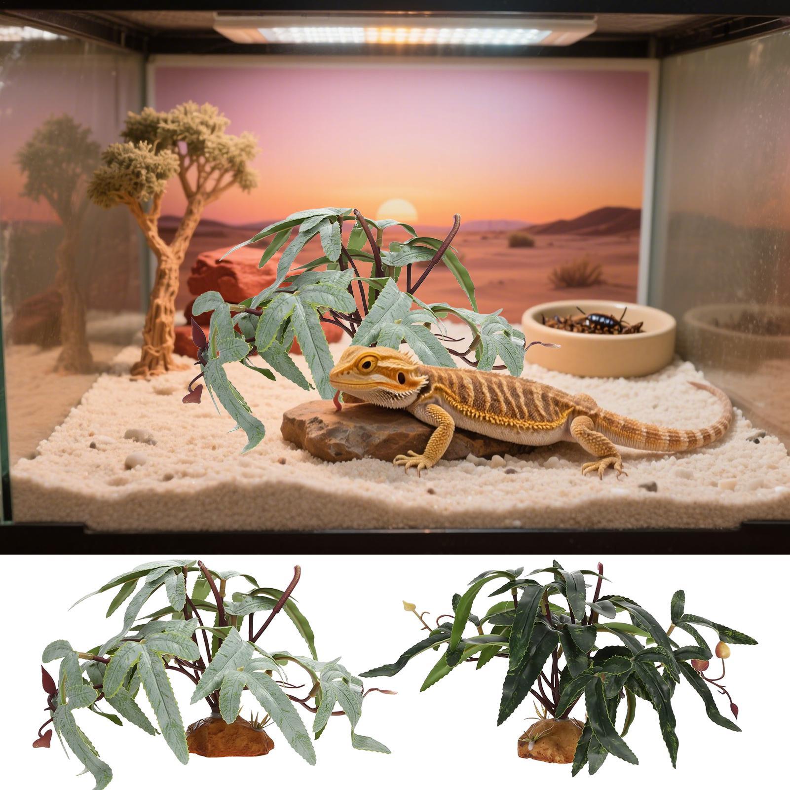 Nep reptielenplanten Slangenta - Snake Plant recensie en prijs