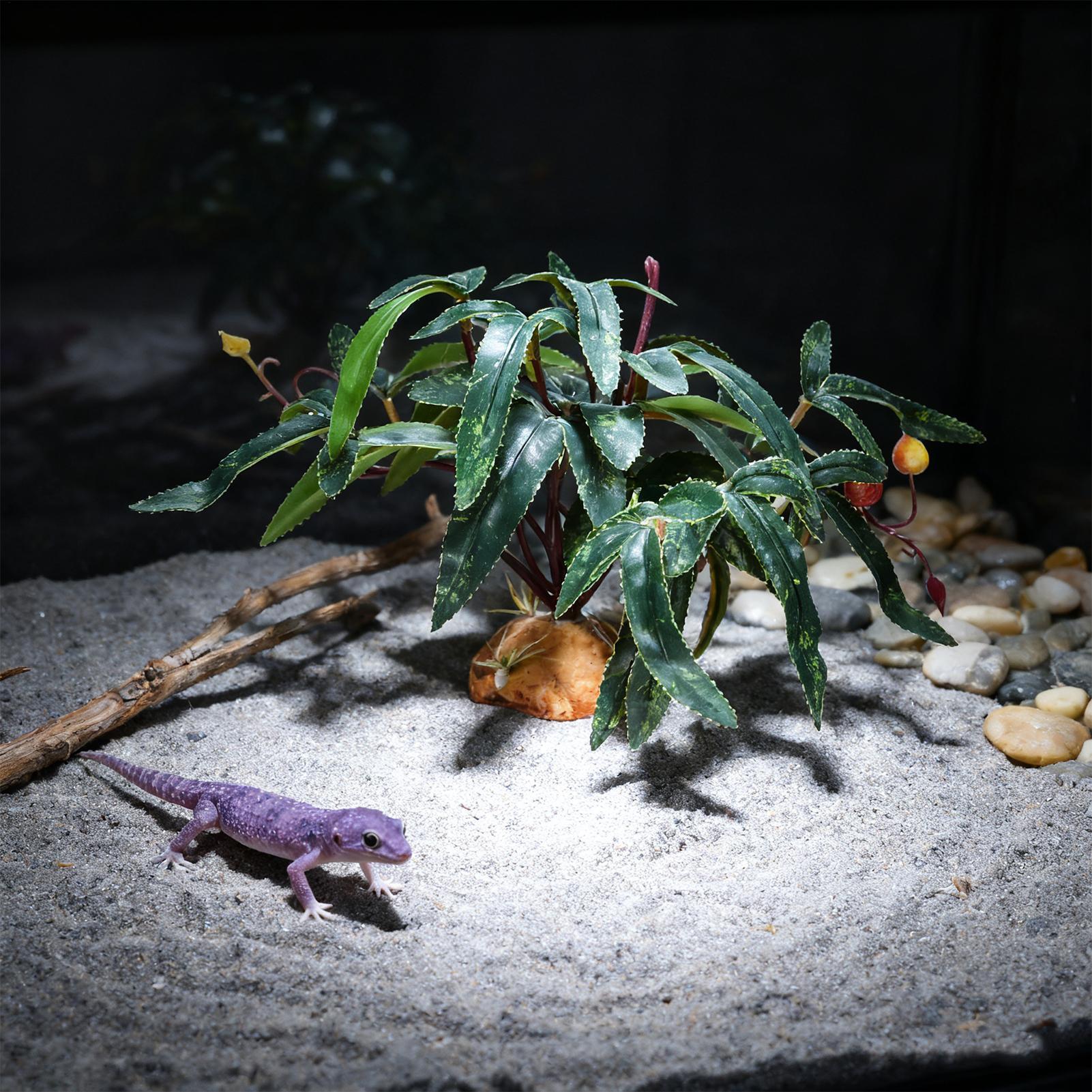Nep reptielenplanten Slangenta - Snake Plant recensie en prijs