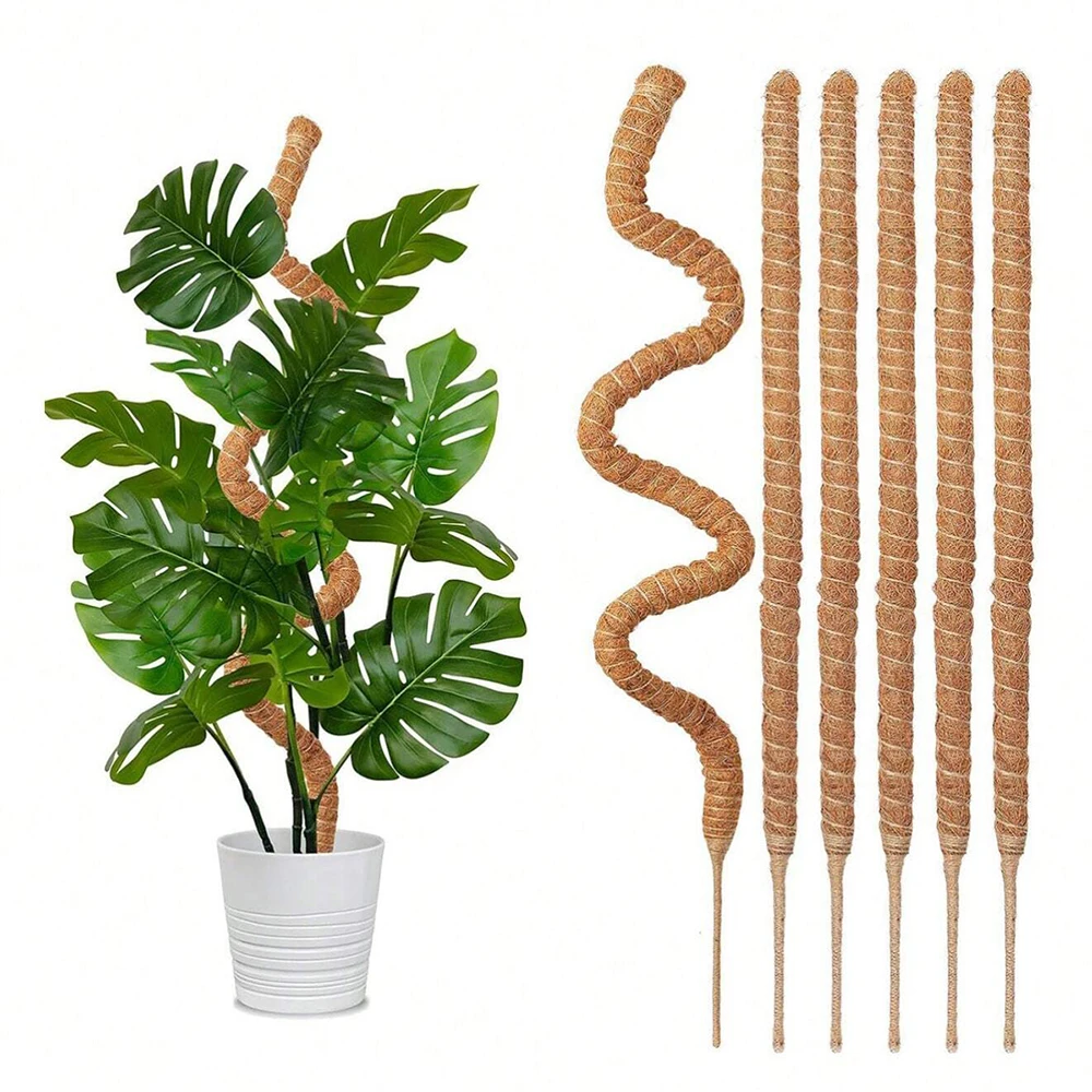 Monstera Plant Mospaal Onderst - Plant Support Stake recensie en prijs