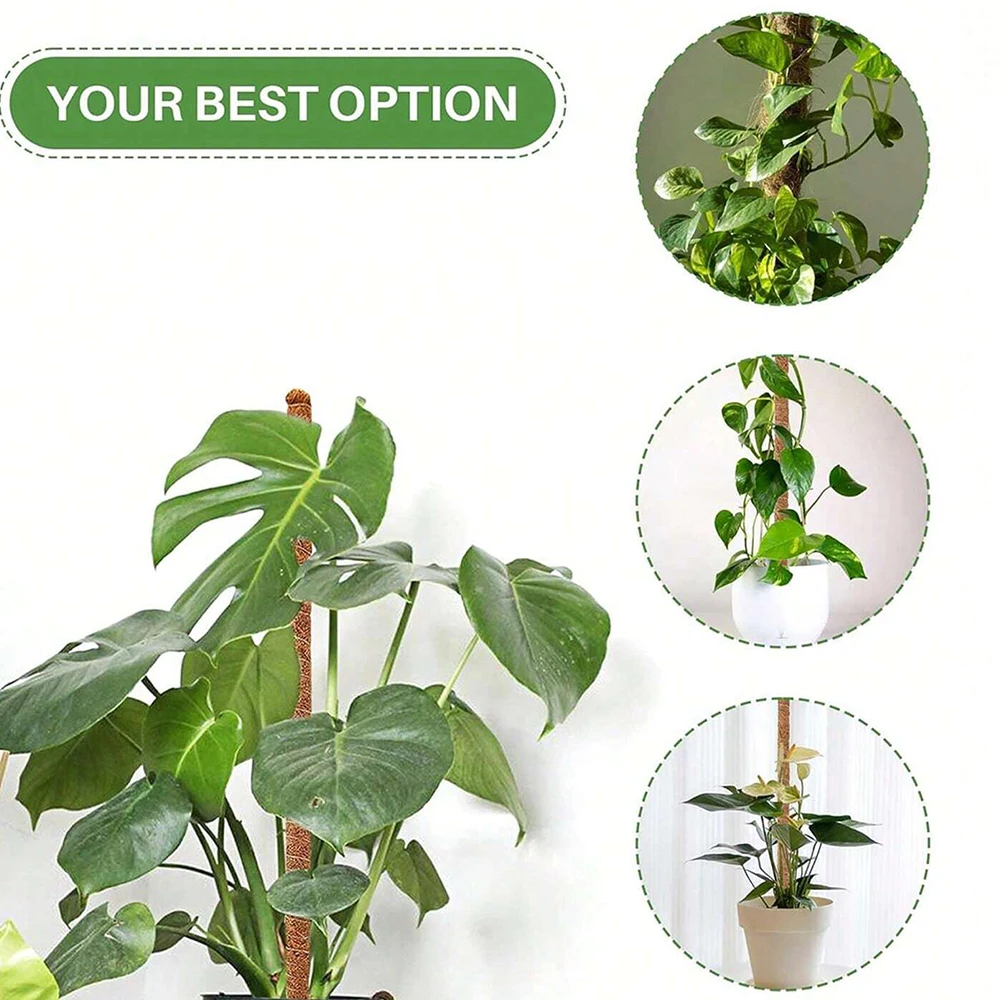 Monstera Plant Mospaal Onderst - Plant Support Stake recensie en prijs