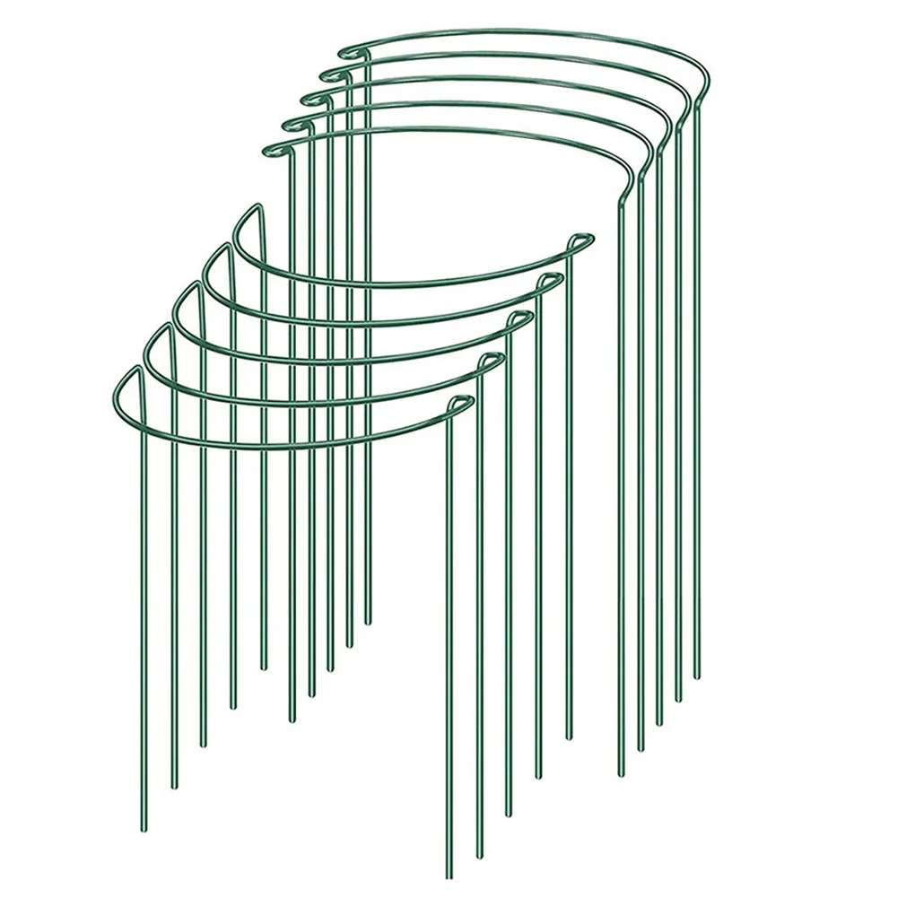 2 stuks stevige metalen plante - Plant Support Stake recensie en prijs
