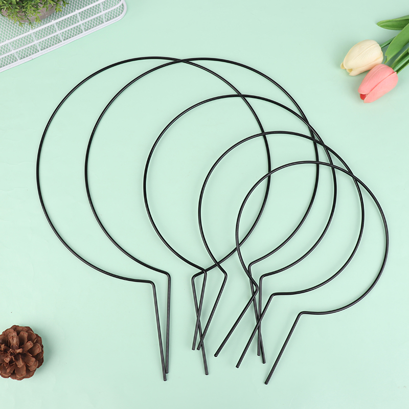 2 Stuks Ijzer Hartvormige Tuin - Plant Support Stake recensie en prijs