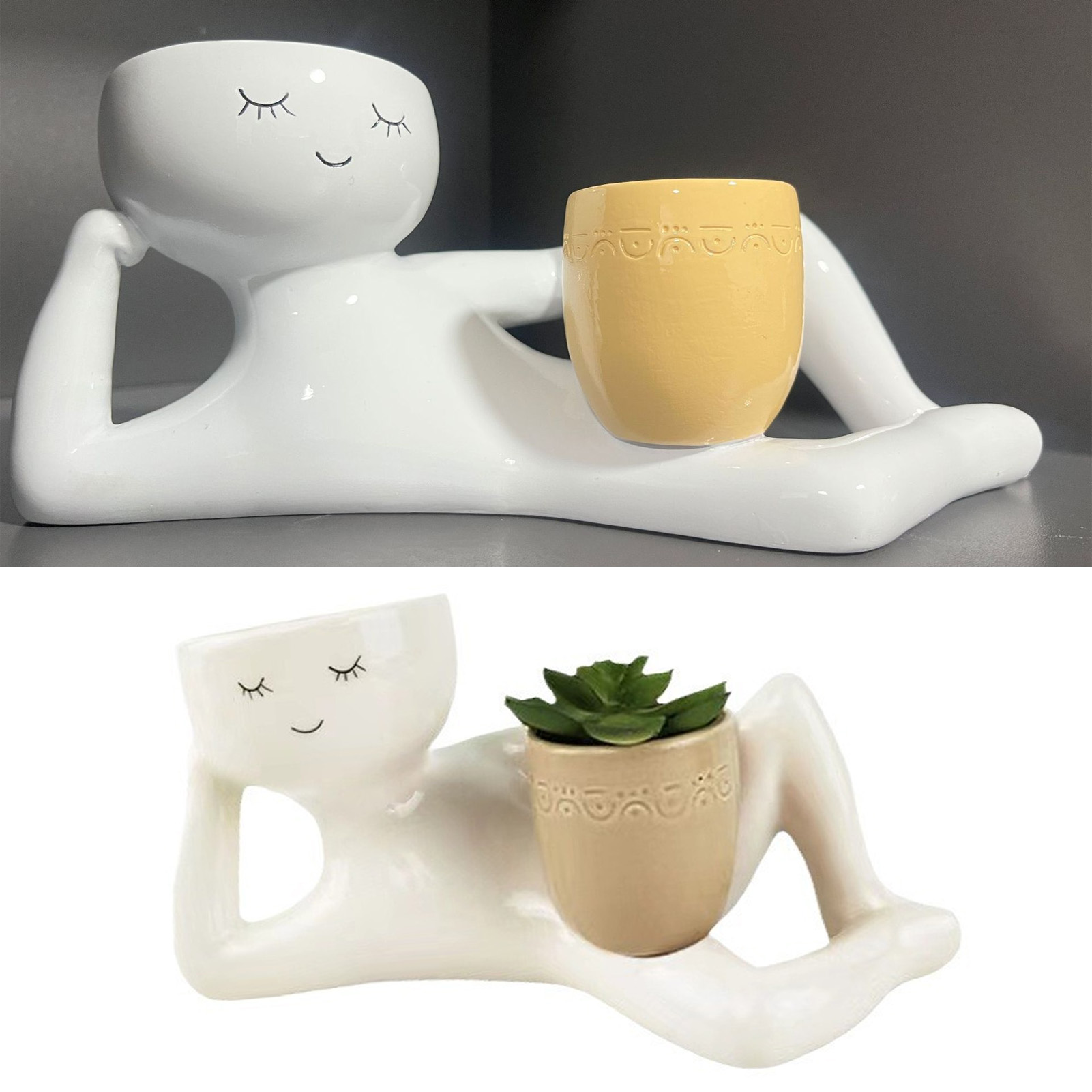 Succulente Pot Creatieve Ademe - Pothos recensie en prijs