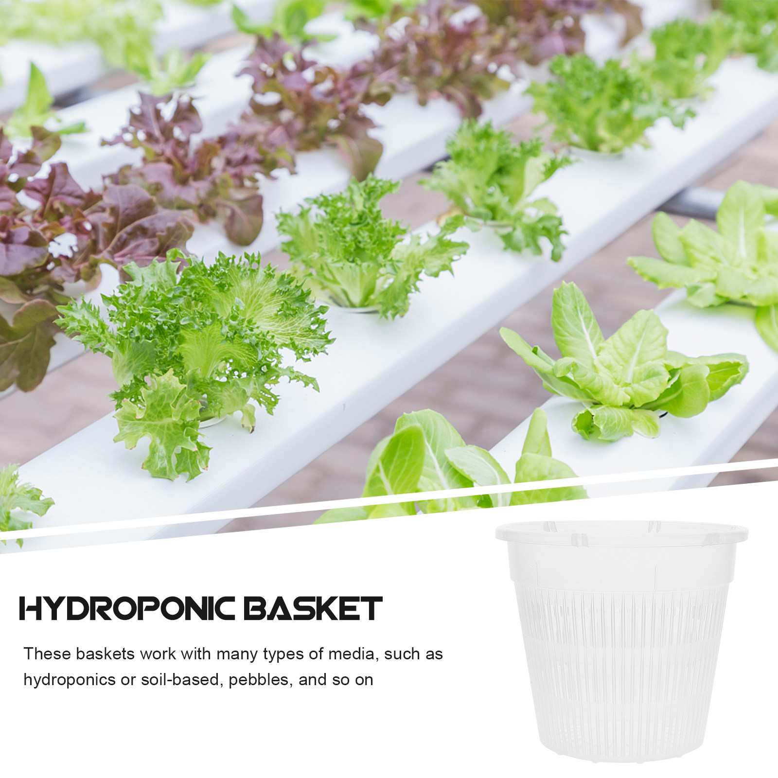 5 stuks hydroponische plantenb - Indoor Plants recensie en prijs
