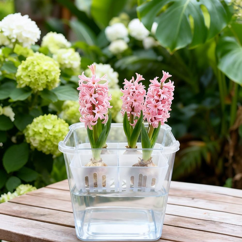 Hydroponische vaas voor tulpen - Indoor Plants recensie en prijs