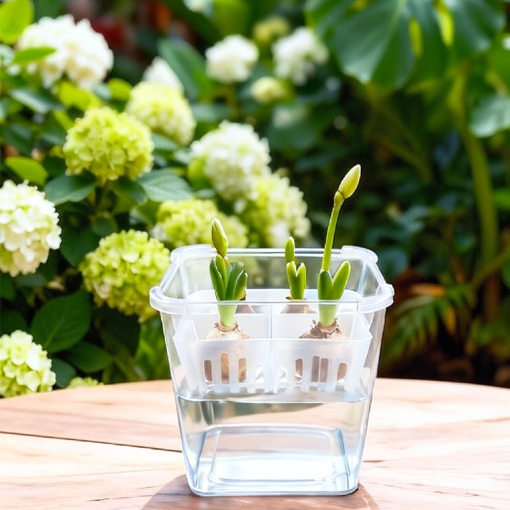 Hydroponische vaas voor tulpen - Indoor Plants recensie en prijs