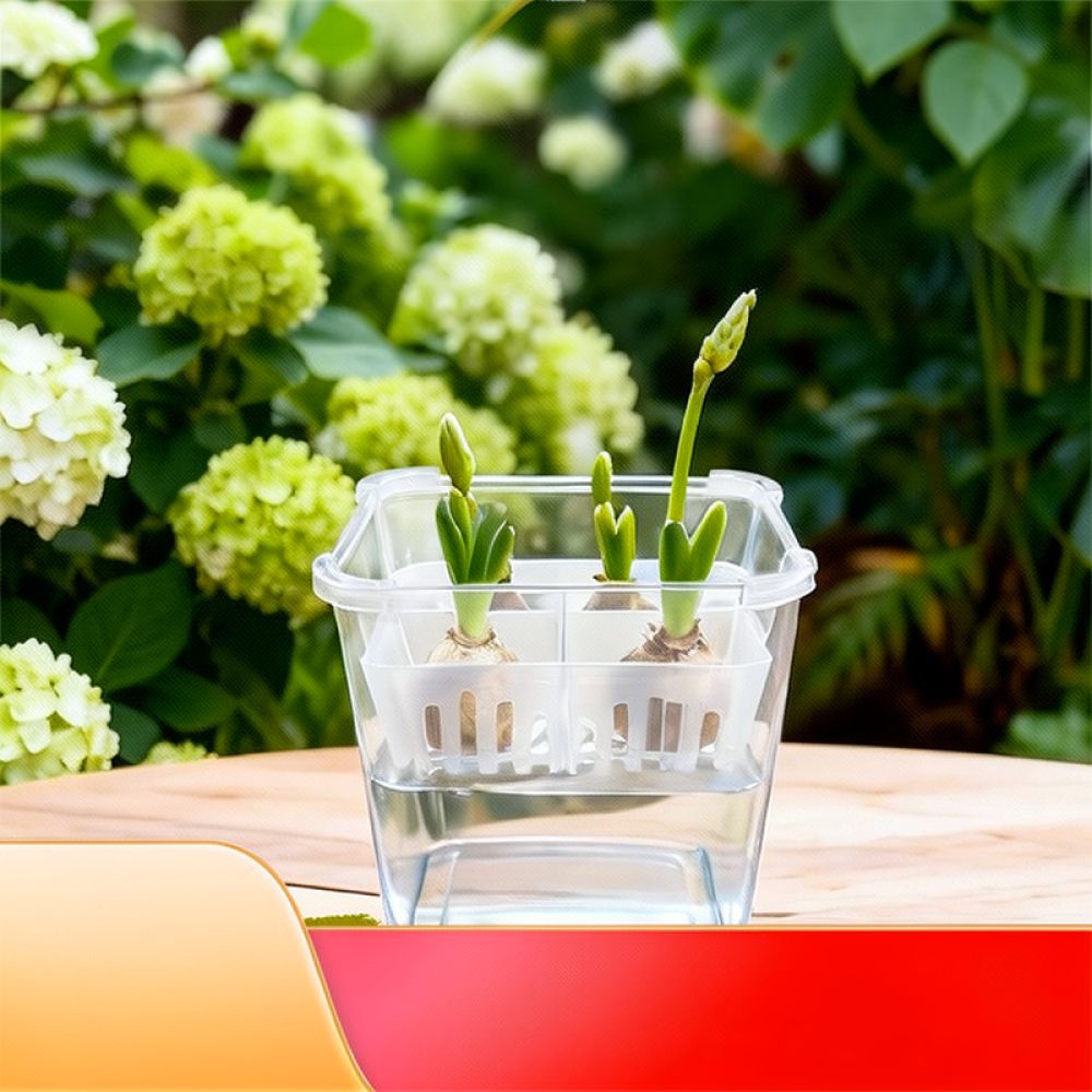 Hydroponische vaas voor tulpen - Indoor Plants recensie en prijs