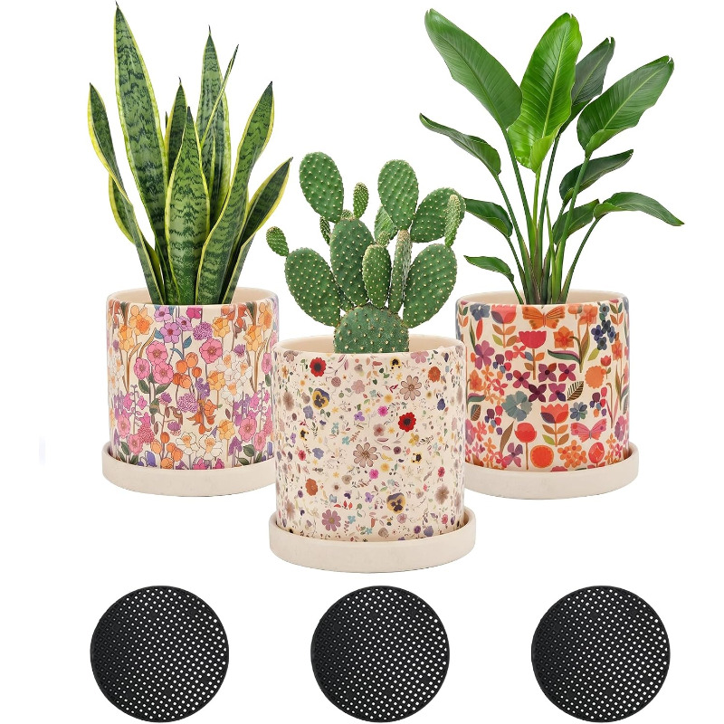 3-delige keramische plantenpot - Snake Plant Ceramic recensie en prijs