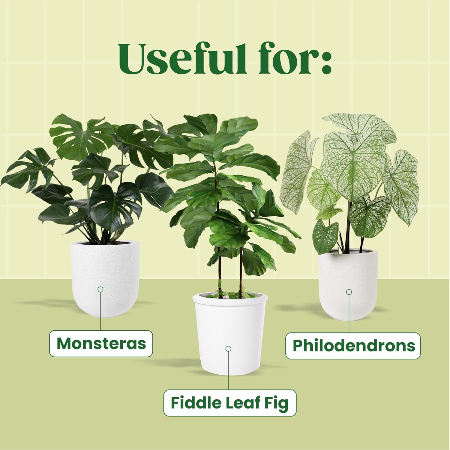 KALOYANOV Plant Serum N ° Hoog - Fiddle Leaf Fig recensie en prijs