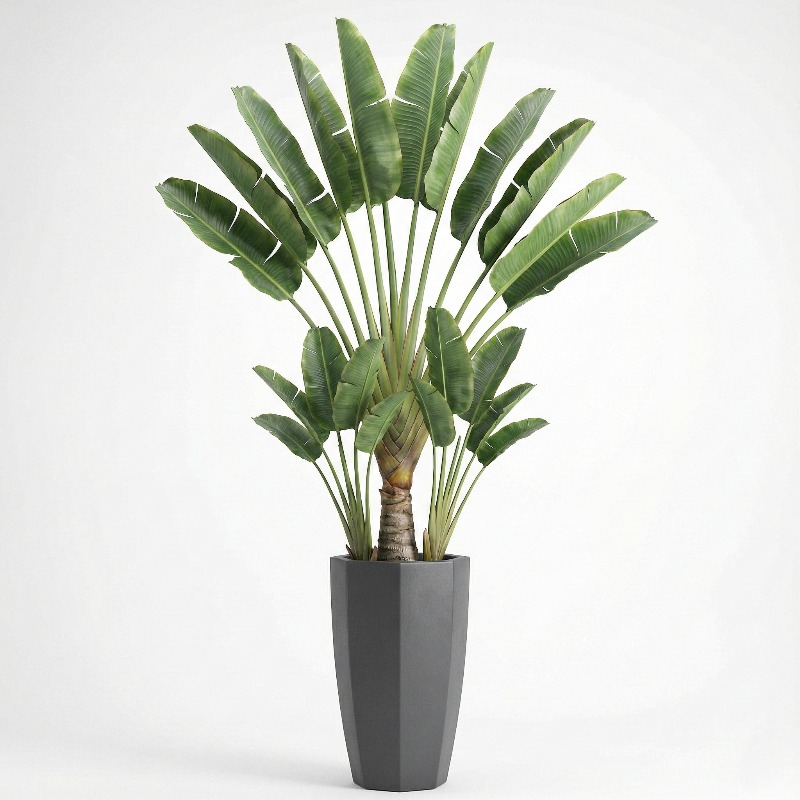 Hoogrealistische kunstmatige F - Fiddle Leaf Fig recensie en prijs