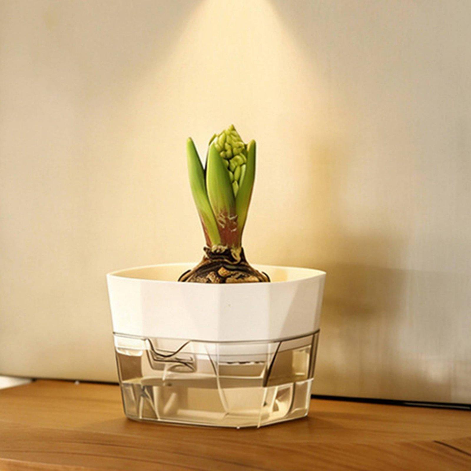 Hydroponische vaas met twee la - Indoor Plants recensie en prijs