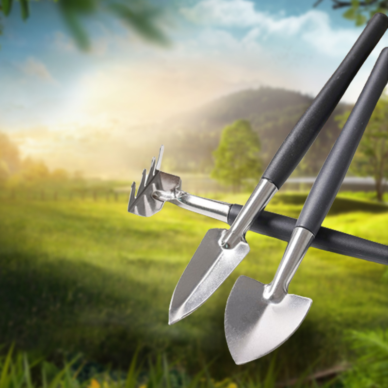 3 stks/set, Tuingereedschapset - Succulent Set recensie en prijs