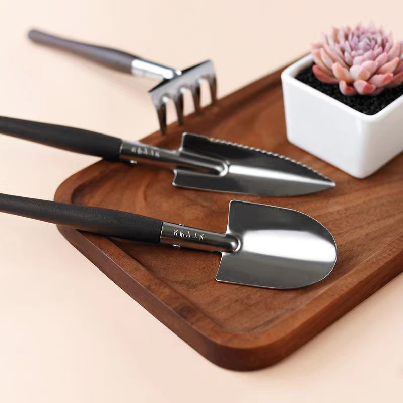 3 stks/set, Tuingereedschapset - Succulent Set recensie en prijs