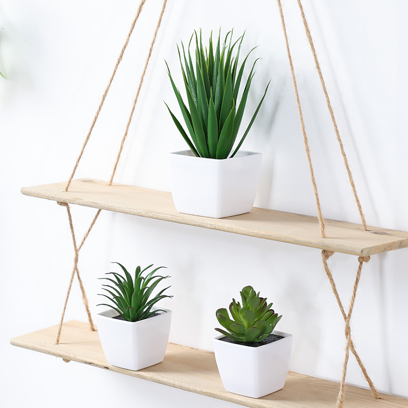 (Een set van 3 stuks) Gesimule - Succulent Set recensie en prijs