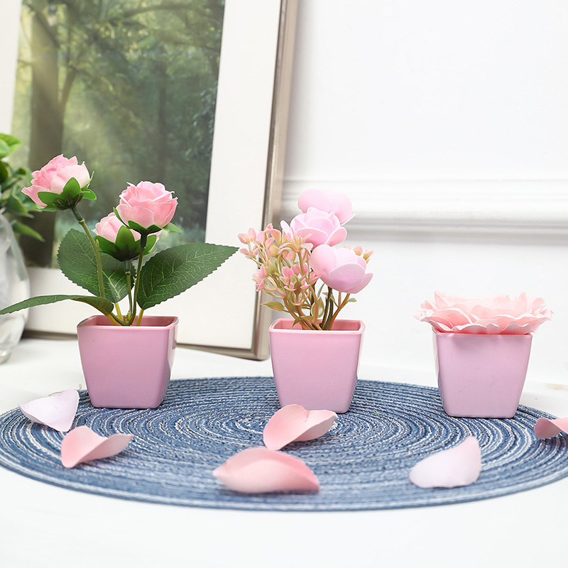 (Een set van 3 stuks) Gesimule - Succulent Set recensie en prijs