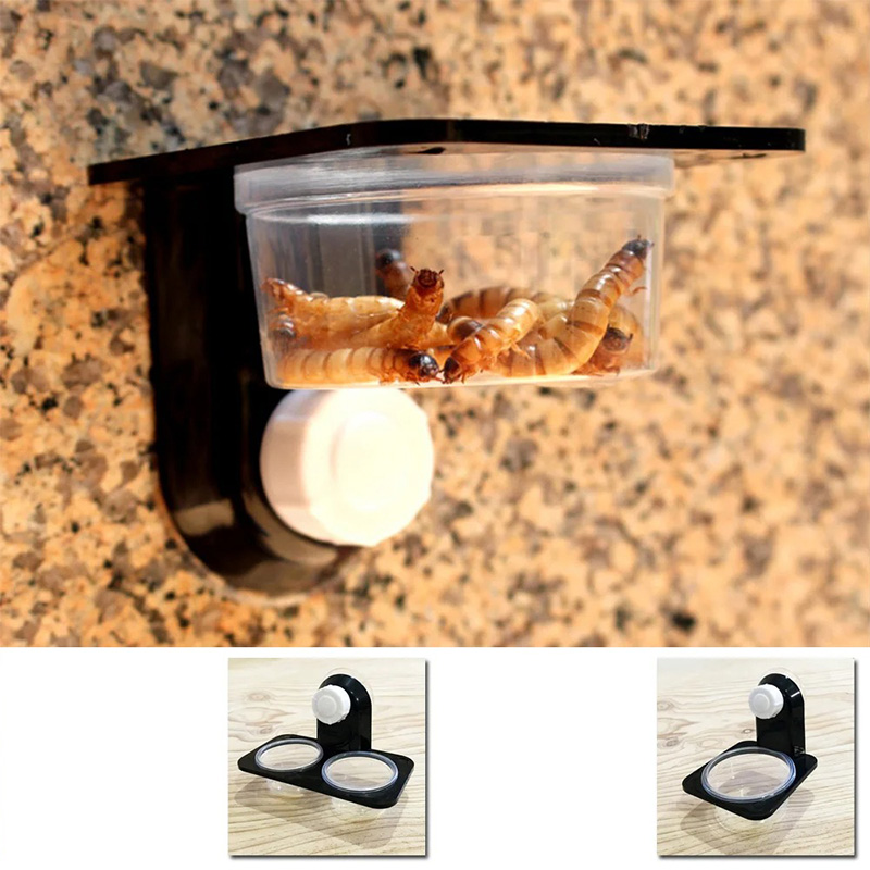 Reptiel Tank Accessoires Insec - Snake Plant recensie en prijs