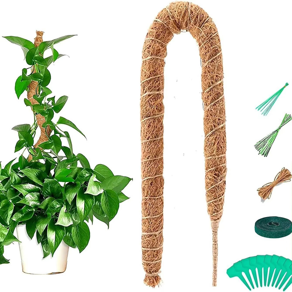Tuinbouw Kokospalmstok Groen L - Pothos recensie en prijs