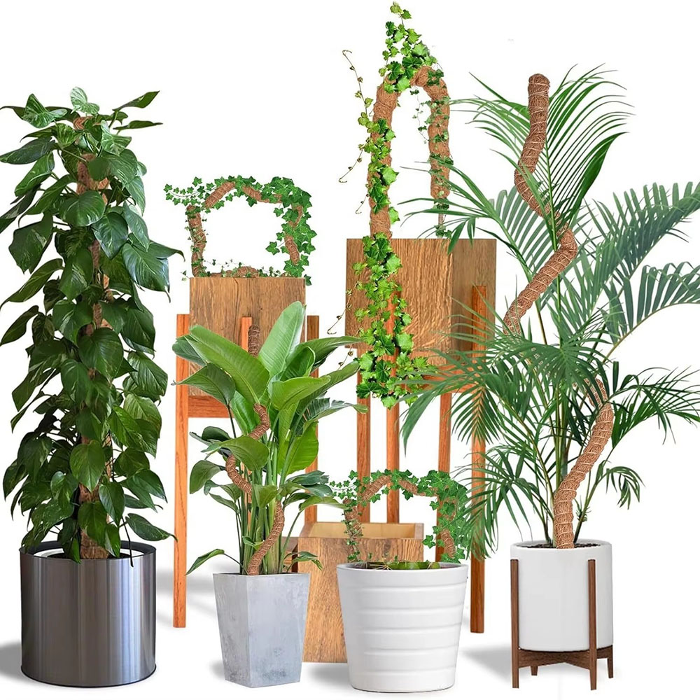 Tuinbouw Kokospalmstok Groen L - Pothos recensie en prijs