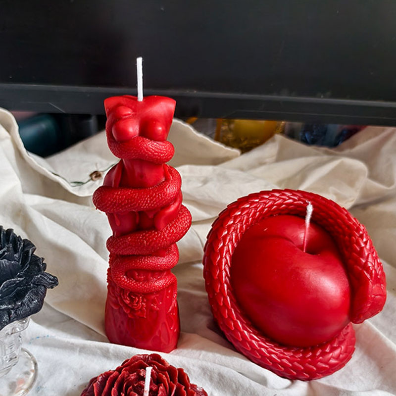 DIY Vrouwelijke Lichaam Slang  - Snake Plant recensie en prijs