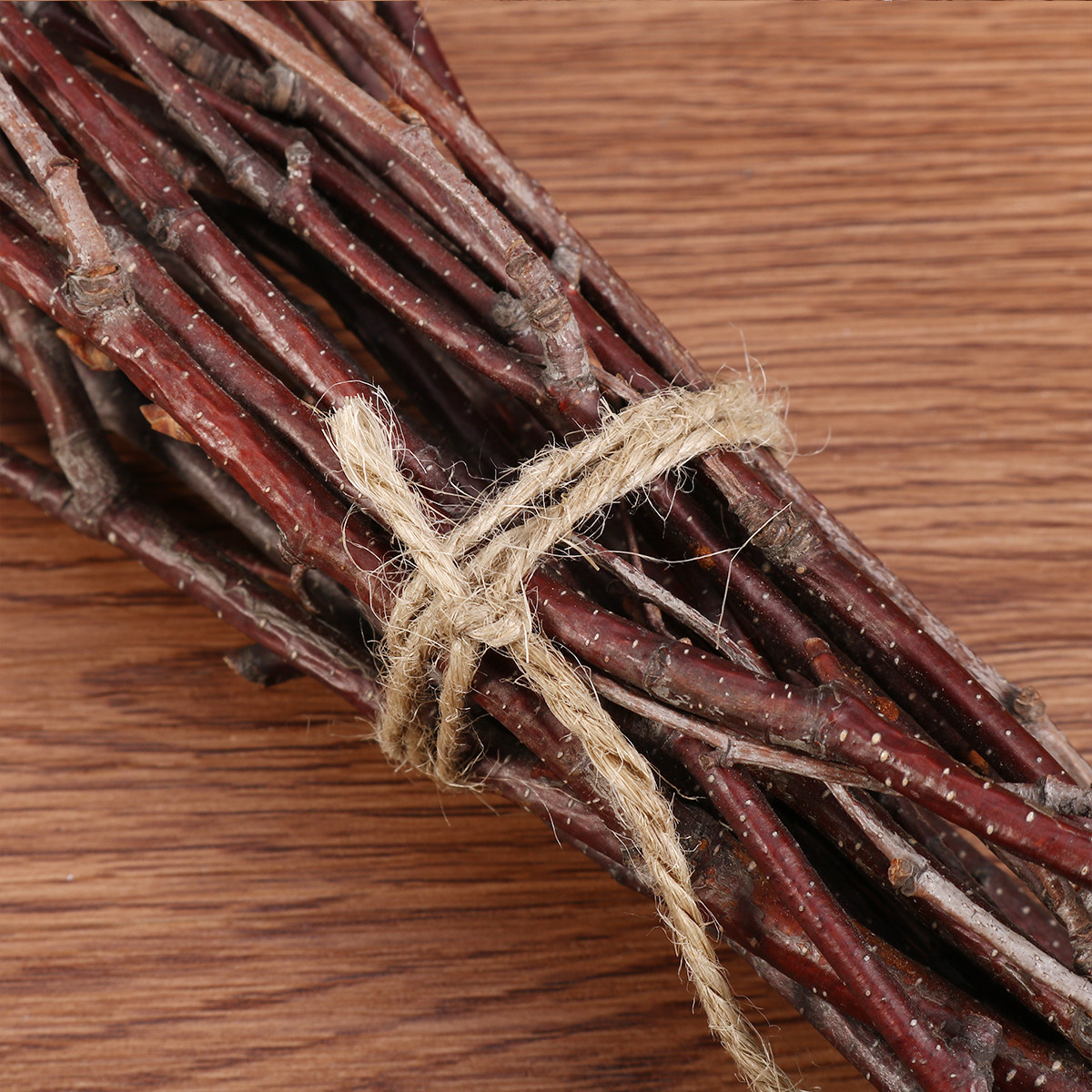 10 stuks berken takken natuurl - Snake Plant recensie en prijs