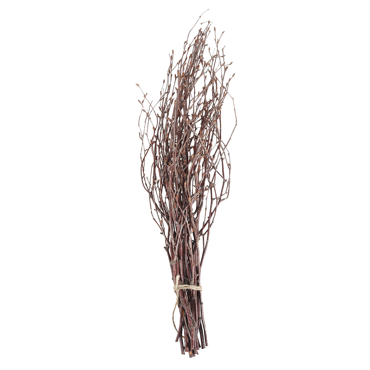10 stuks berken takken natuurl - Snake Plant recensie en prijs