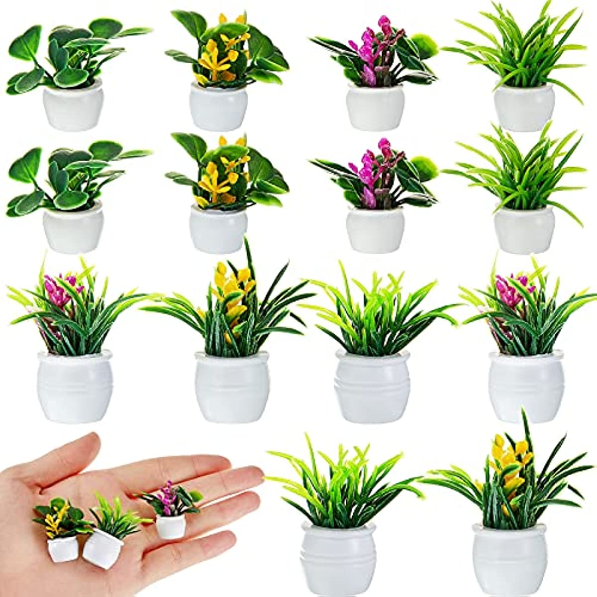 Poppenhuisplant, miniatuur bon - Terracotta Pot recensie en prijs