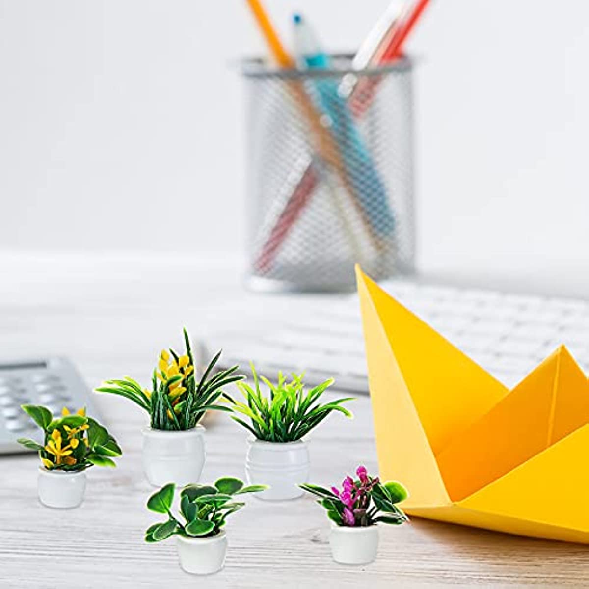 Poppenhuisplant, miniatuur bon - Terracotta Pot recensie en prijs