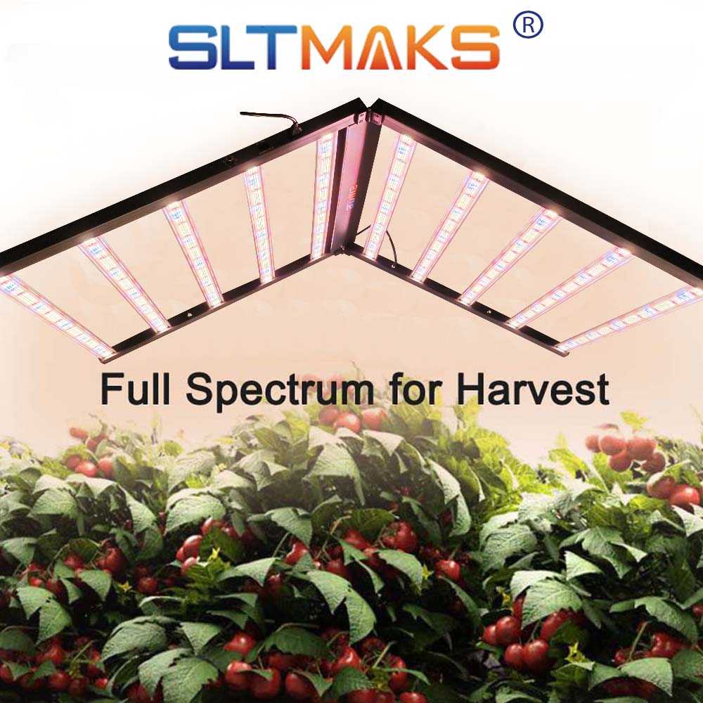 SLTMAKS 8x6FT 4x6FT 1000W Groe - Indoor Plants recensie en prijs