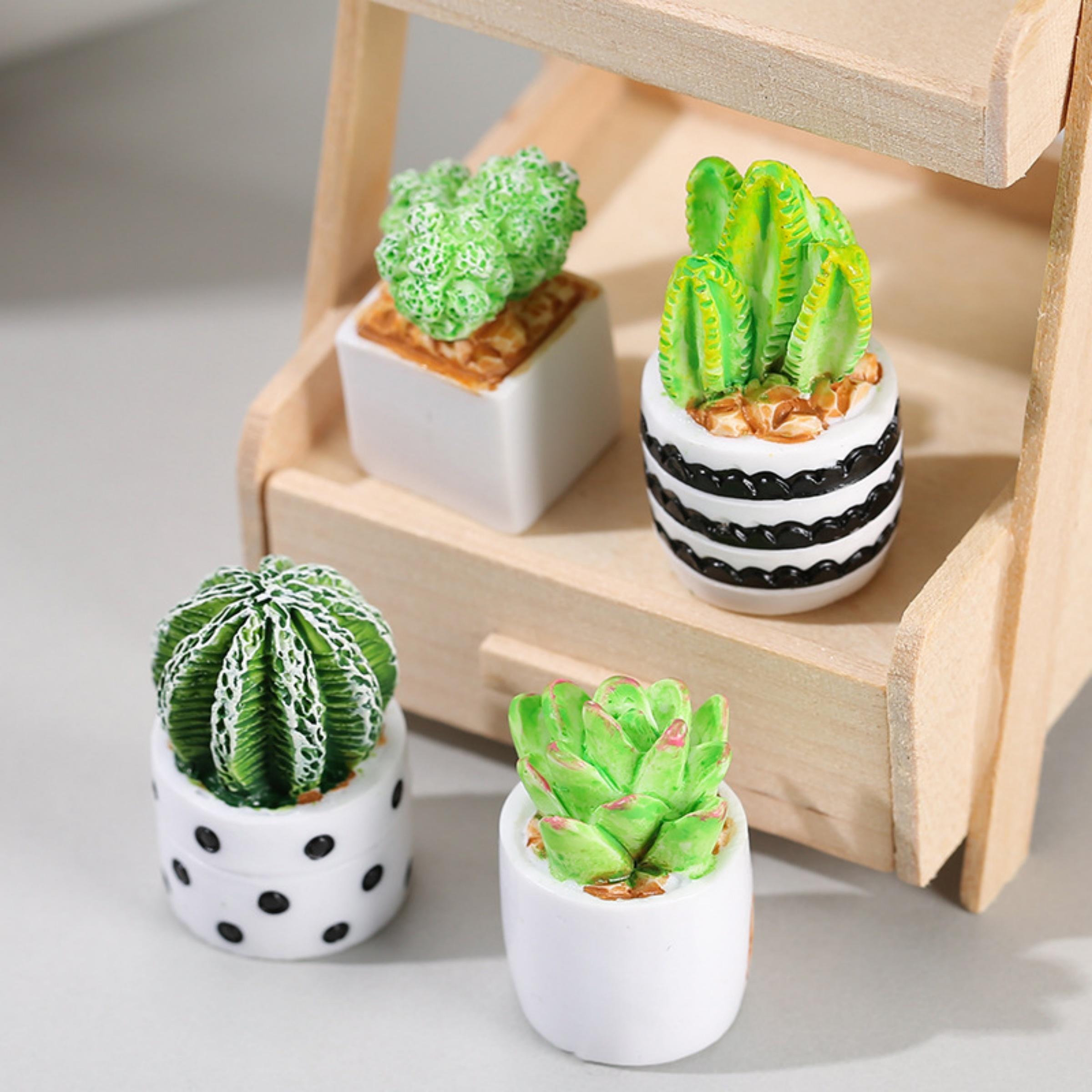 4-delige set cactus- en vetpla - Succulent Set recensie en prijs