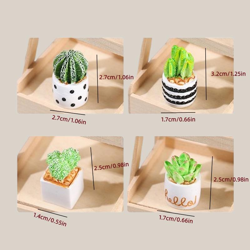 4-delige set cactus- en vetpla - Succulent Set recensie en prijs