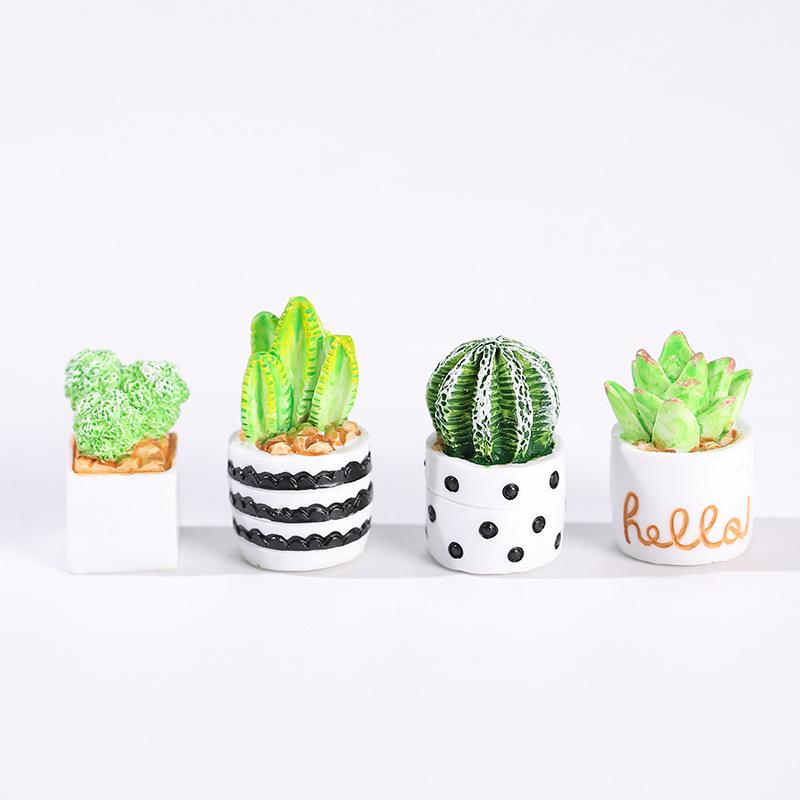 4-delige set cactus- en vetpla - Succulent Set recensie en prijs