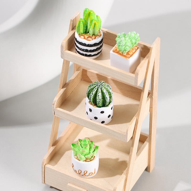 4-delige set cactus- en vetpla - Succulent Set recensie en prijs