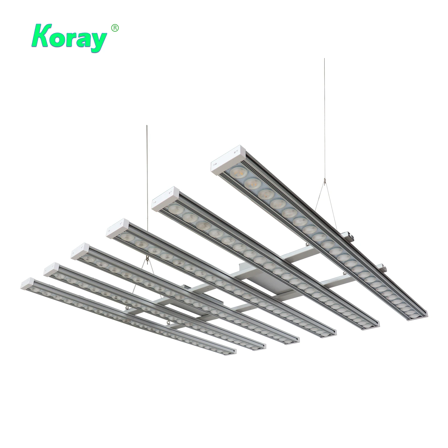 Koray 900W Indoor full spectru - Indoor Plants recensie en prijs
